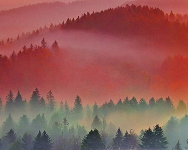 Autumn Landscape with Rolling Hills and Misty Foliage