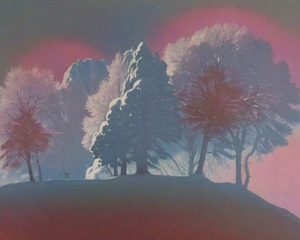 Serene Winter Landscape with Snow-Laden Trees