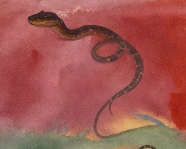 Coiled Snake on Vibrant Watercolor Background