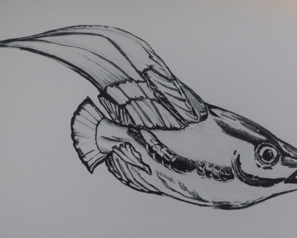 Whimsical Sketch of a Winged Fish in Black and White