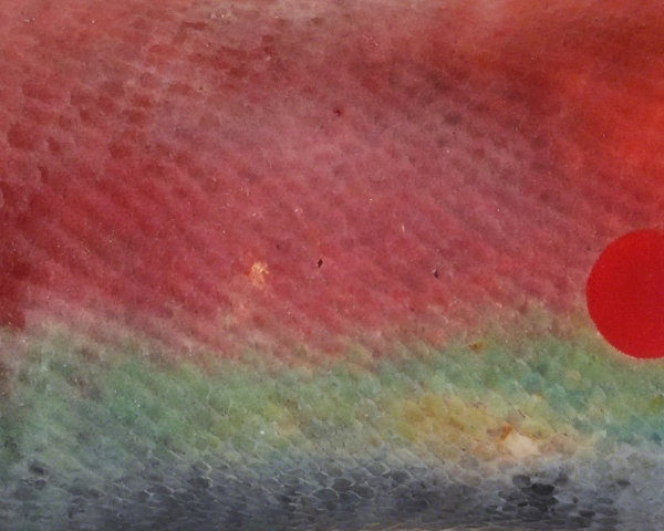 Abstract Composition with Textured Scales and Colors