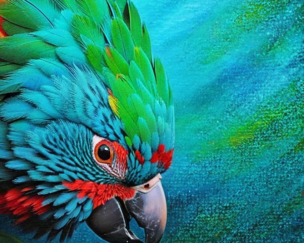 Vibrant Parrot with Colorful Feathers and Soft Background