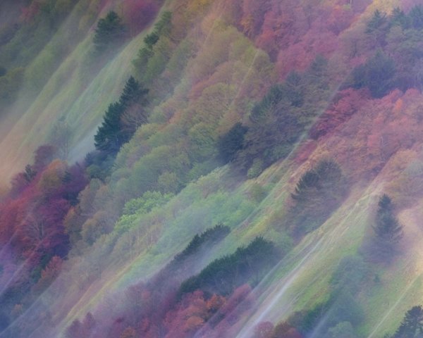 Autumn Landscape with Rolling Hills and Vibrant Colors