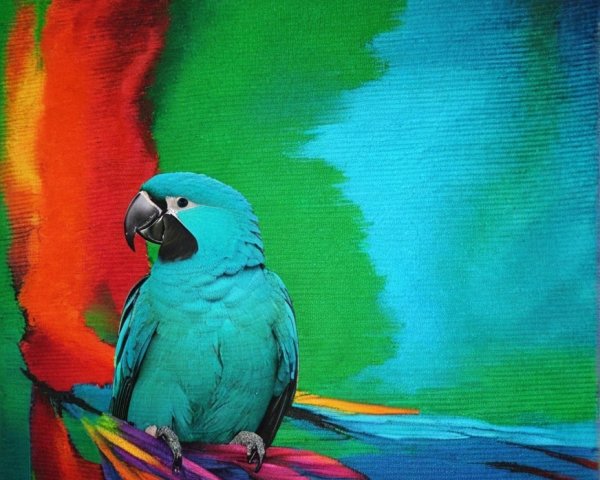 Colorful Painting of a Macaw with Vibrant Background