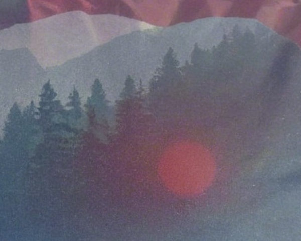 Serene Landscape with Silhouetted Trees and Gradient Sky