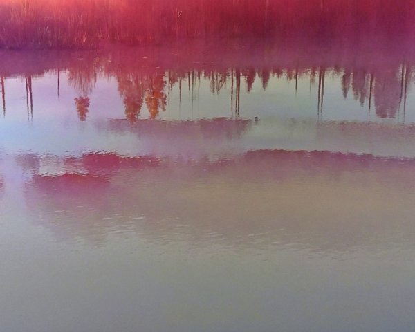 Serene Landscape with Reflective Water and Mist