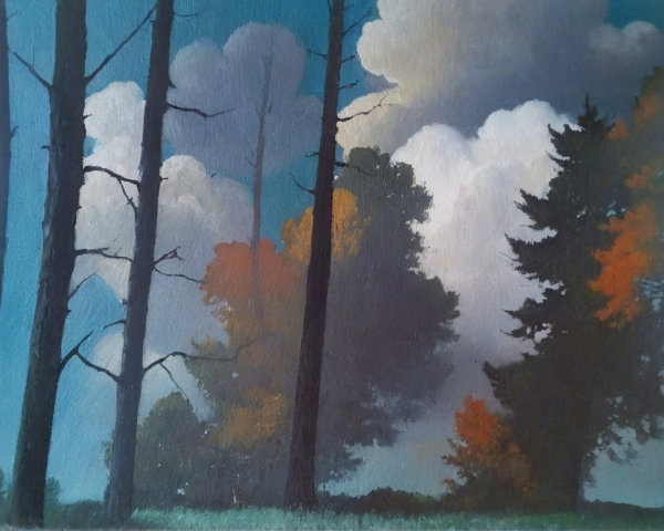 Serene Landscape with Silhouetted Trees and Clouds