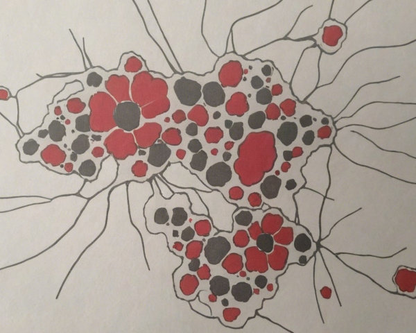 Abstract Design of the African Continent in Red and Black