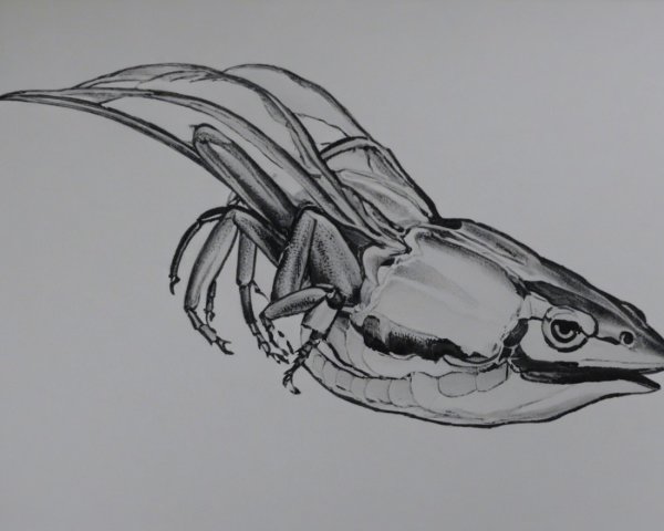 Detailed Black-and-White Illustration of a Frog-Like Creature