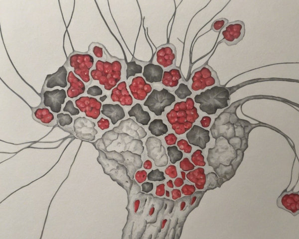 Abstract Organic Form with Gray and Red Elements