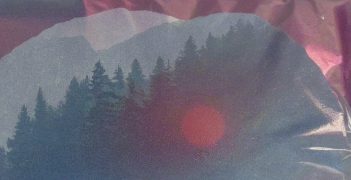 Serene Landscape with Silhouetted Trees and Gradient Sky