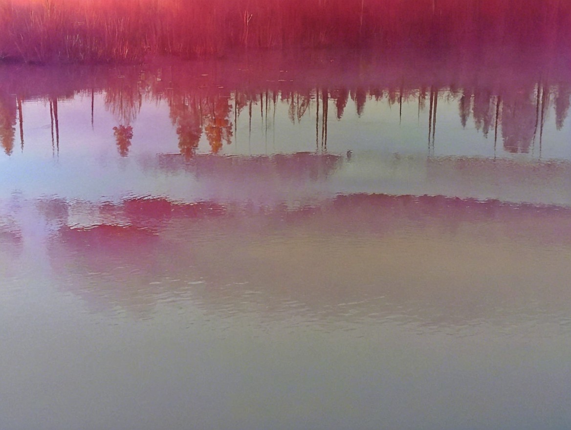 Serene Landscape with Reflective Water and Mist