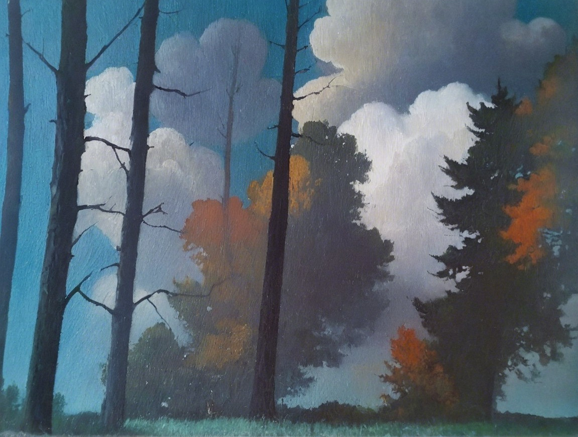 Serene Landscape with Silhouetted Trees and Clouds