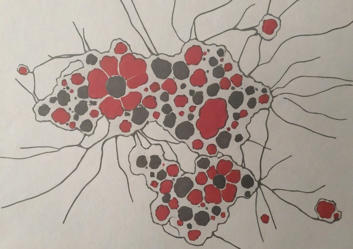 Abstract Design of the African Continent in Red and Black