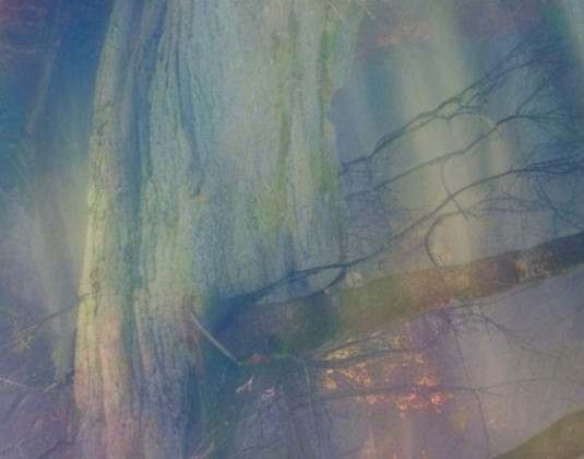 Ethereal Tree Scene in Misty Abstract Background