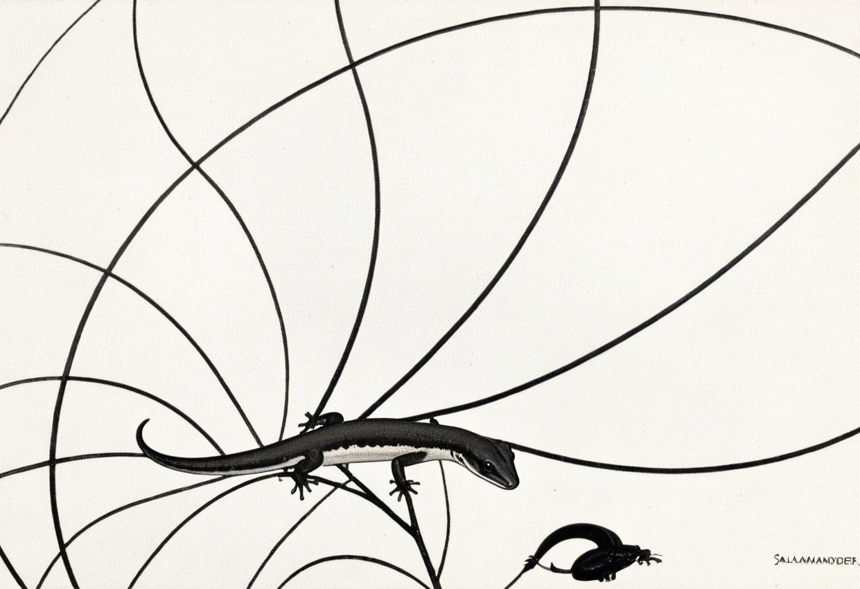 Stylized Black-and-White Illustration of Lizard and Salamander