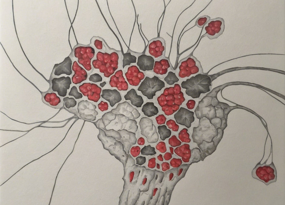 Abstract Organic Form with Gray and Red Elements