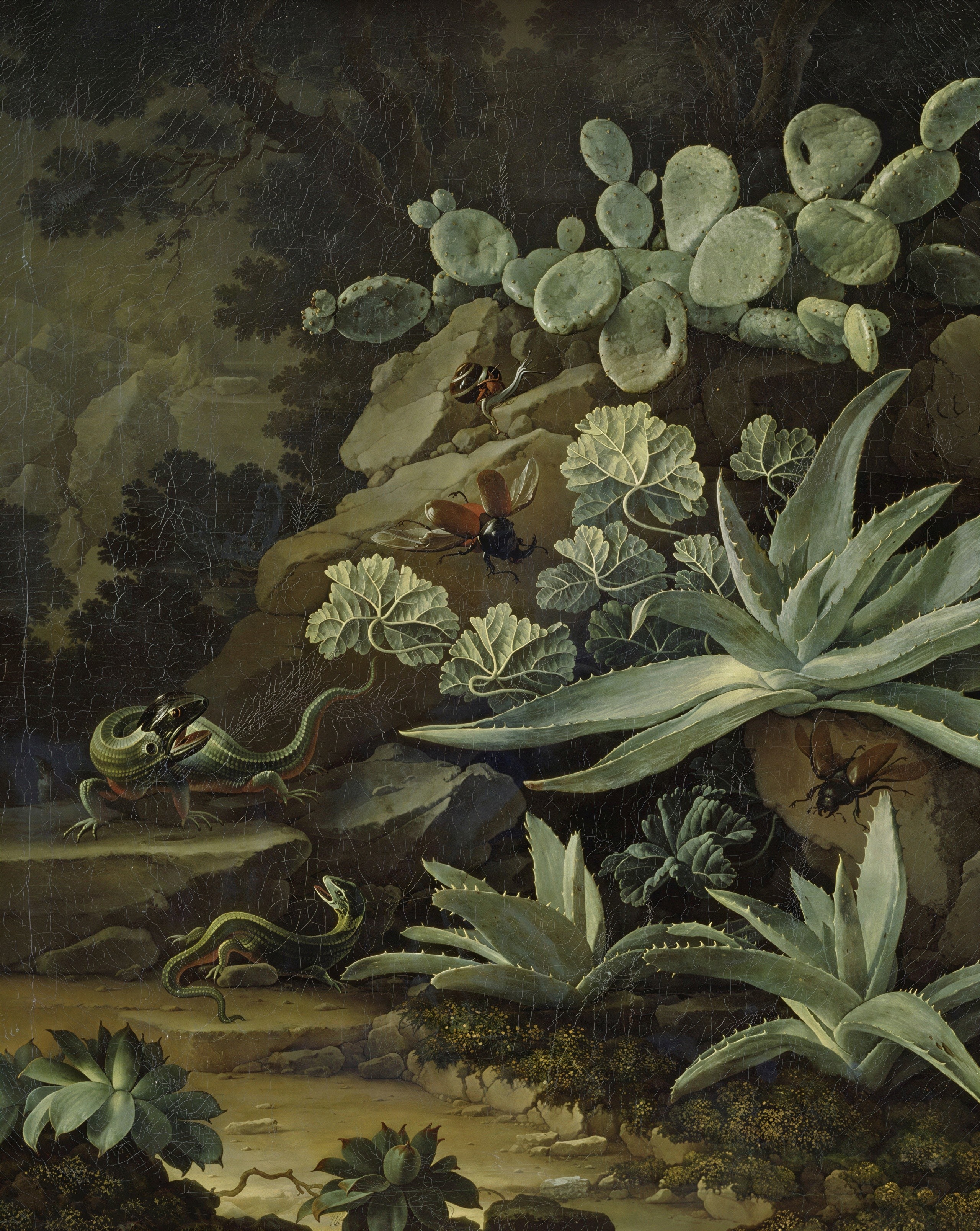 Detailed Still Life of Desert Creatures and Plants