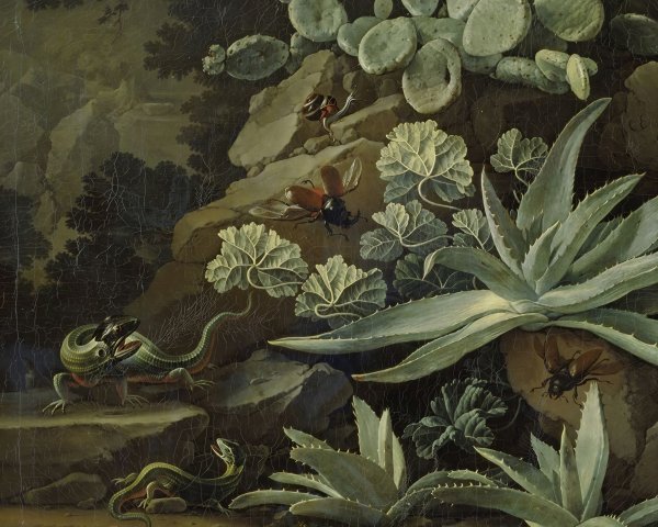 Detailed Still Life of Desert Creatures and Plants