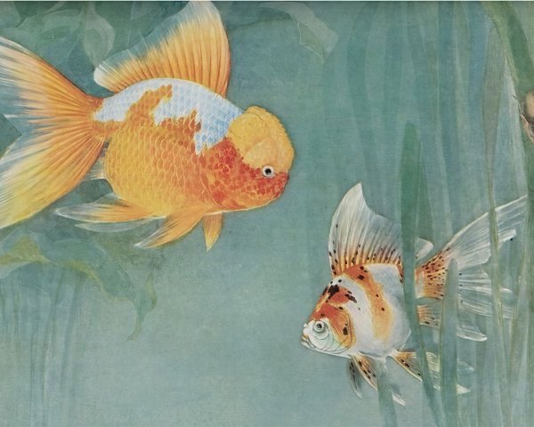 Goldfish in a serene aquatic environment with plants