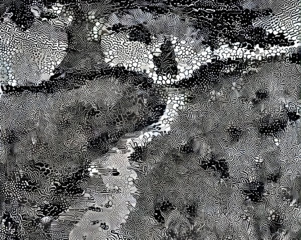 Monochromatic Landscape with Intricate Linework Details