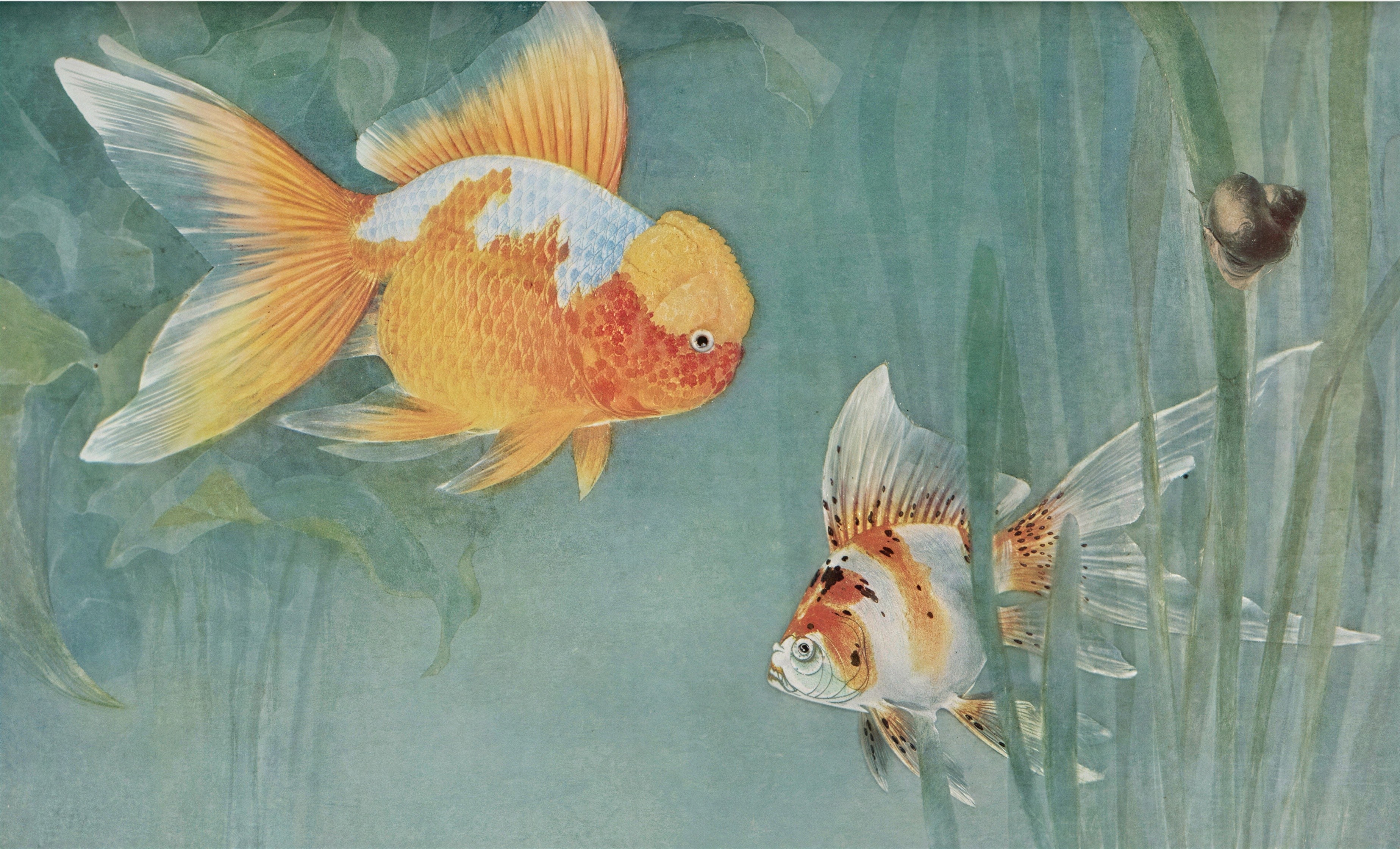 Goldfish in a serene aquatic environment with plants