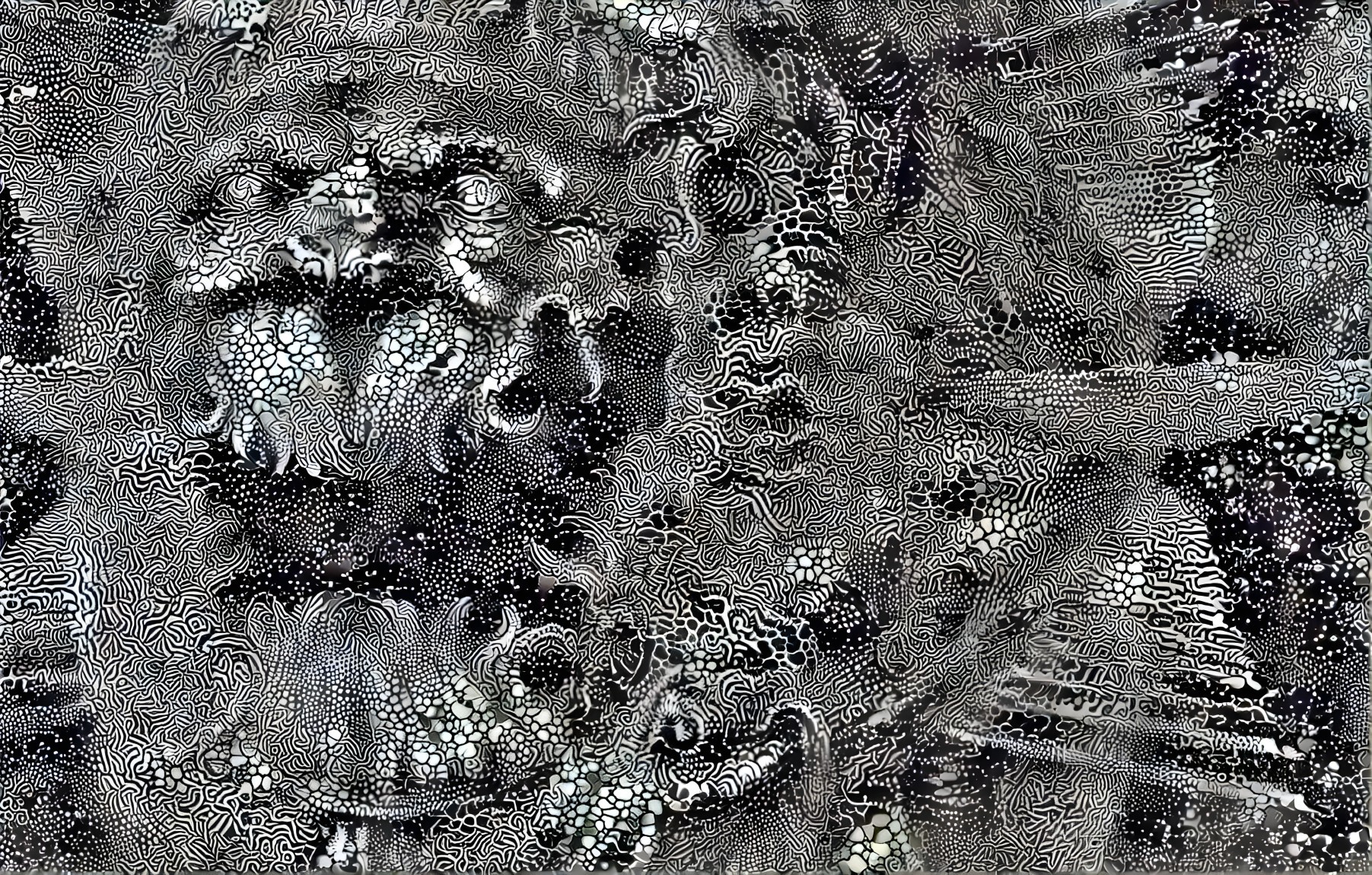 Abstract Black and White Patterns with Dynamic Composition