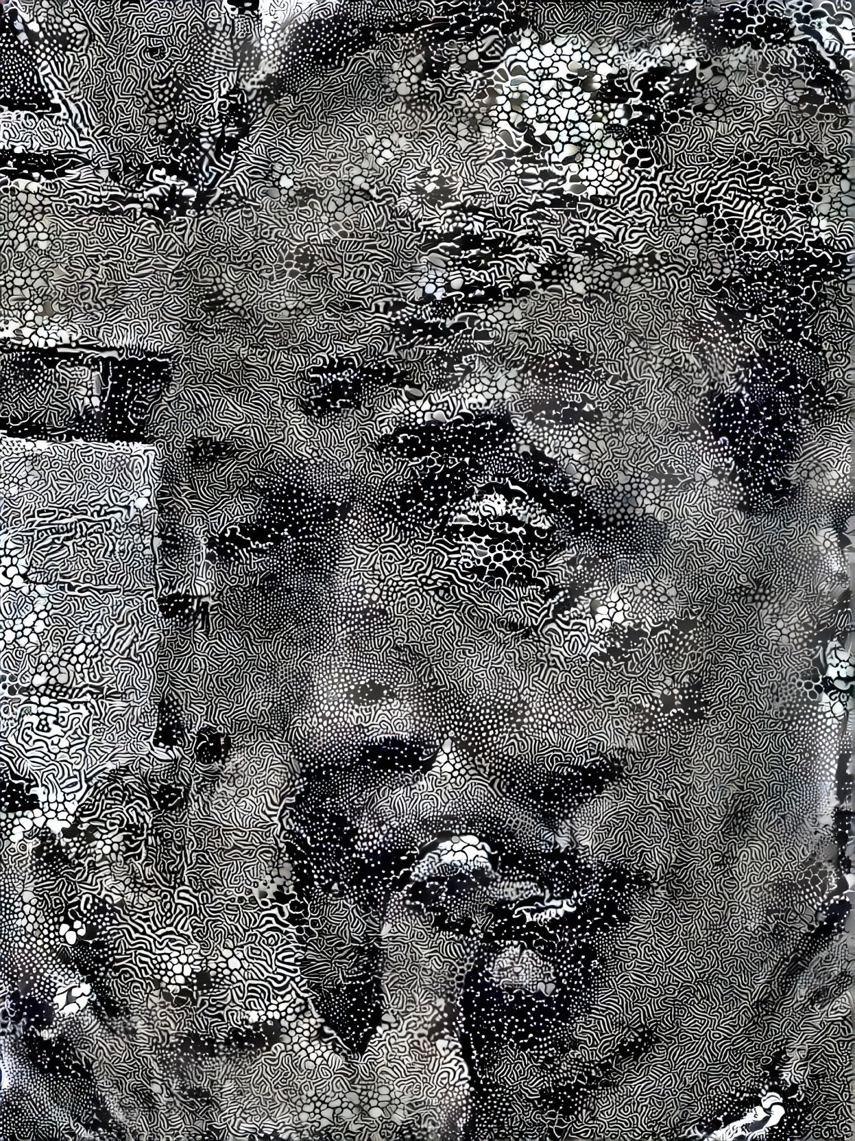 Detailed Black-and-White Abstract Portrait with Patterns