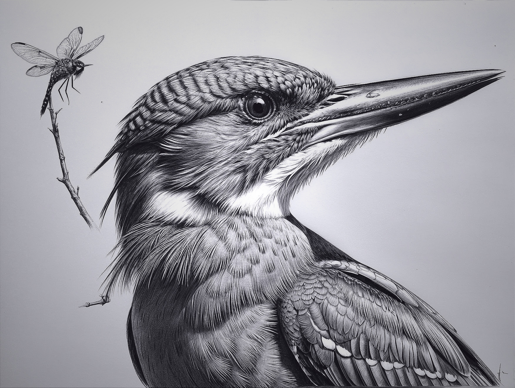 Hyper-realistic Kingfisher and Dragonfly Artwork