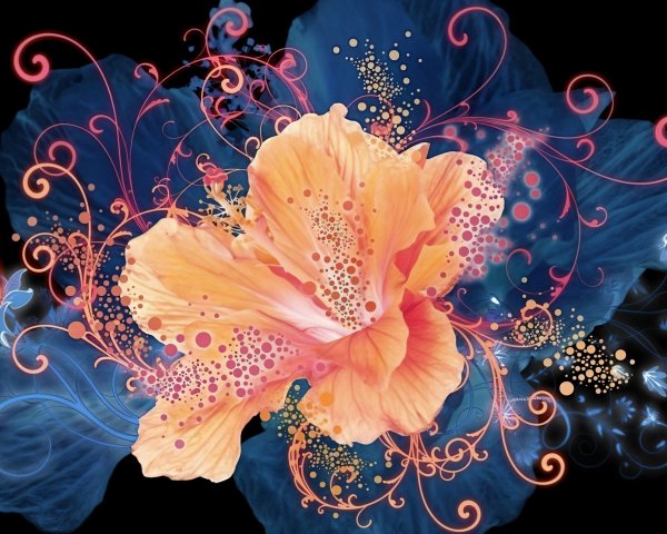 Vibrant Digital Artwork of Peach Flower with Swirls